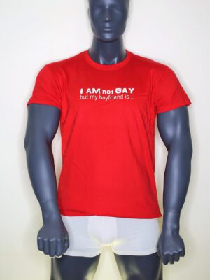 T-Shirt I Am Not Gay But My BF Is