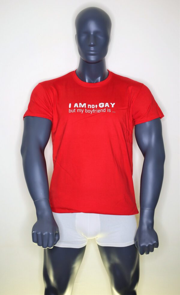 T-Shirt I Am Not Gay But My BF Is