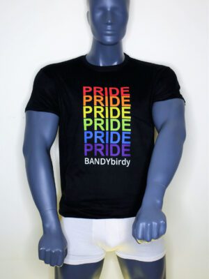 T-Shirt Pride Pride Pride