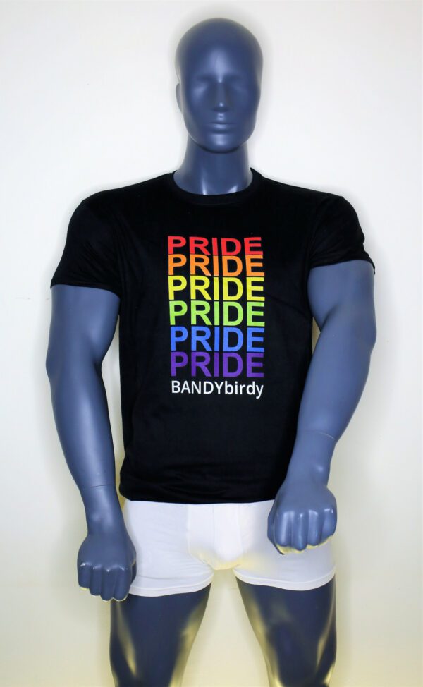 T-Shirt Pride Pride Pride